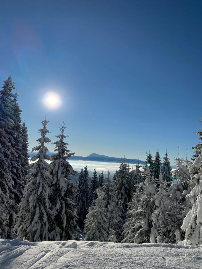 Panorama Chalet Mountain Residence Μπούκοβελ Εξωτερικό φωτογραφία